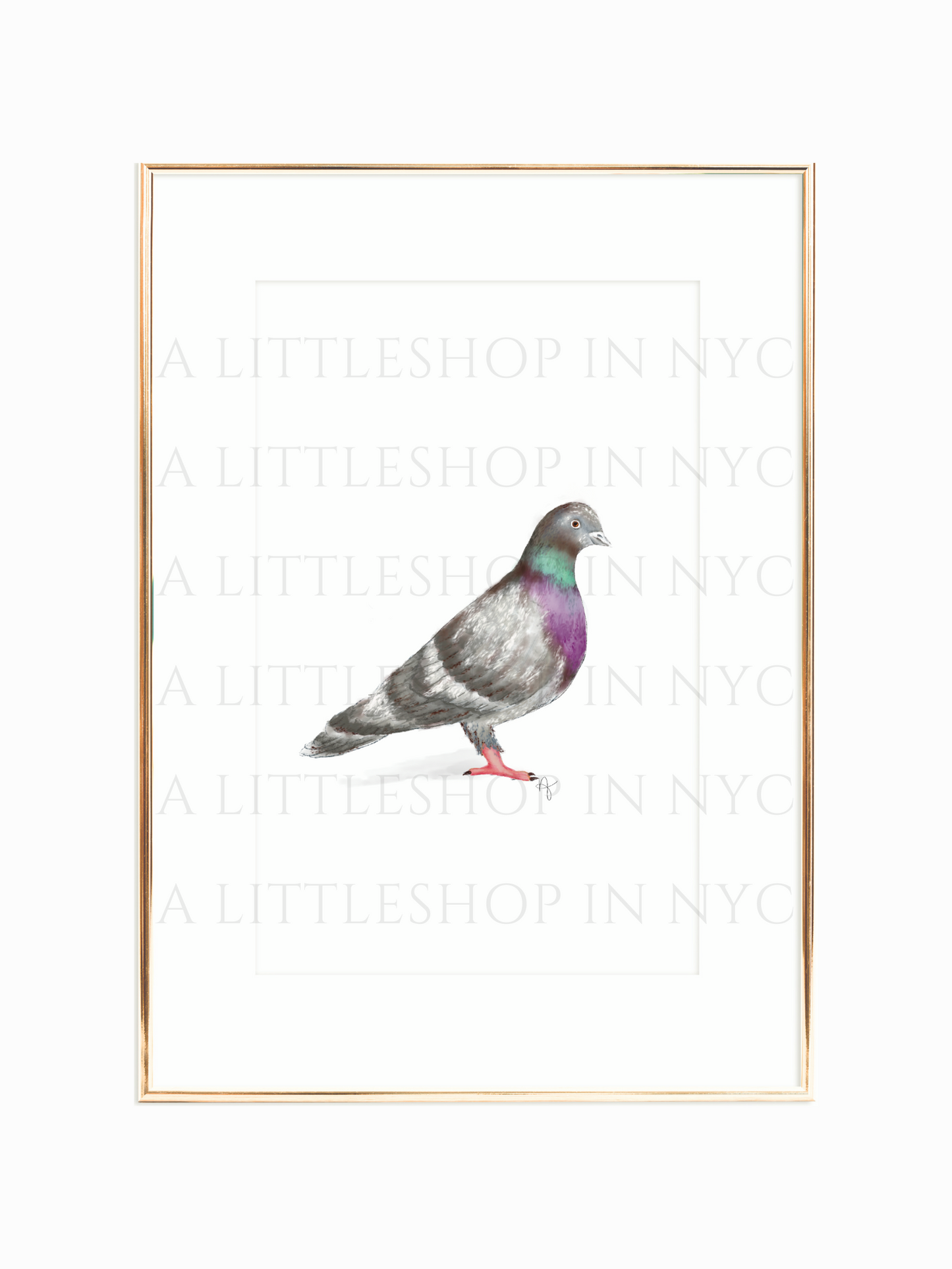 Pigeon Print