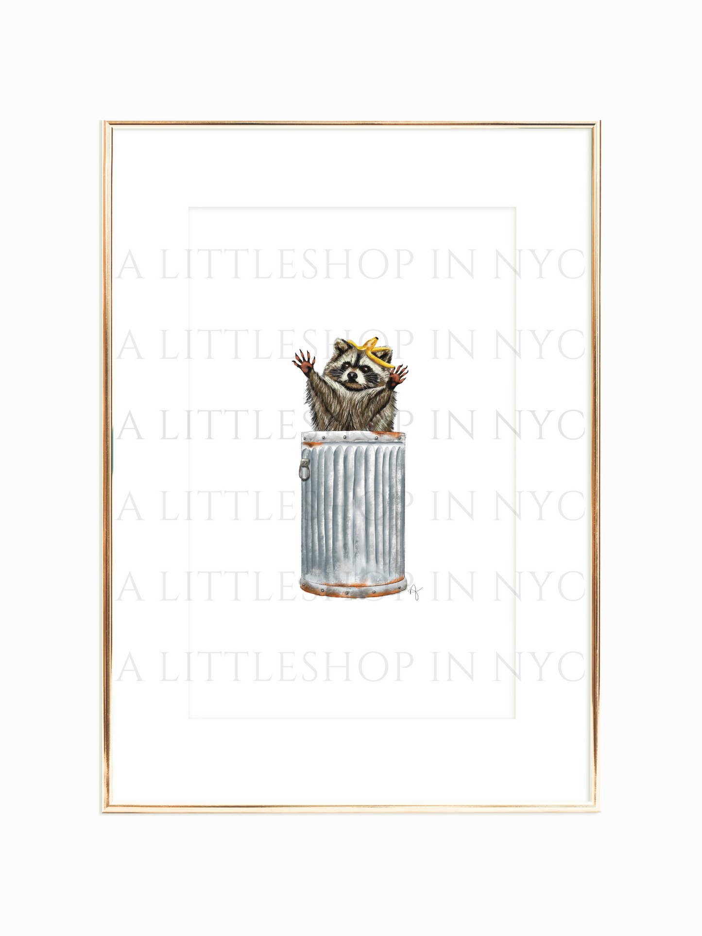 Raccoon Print