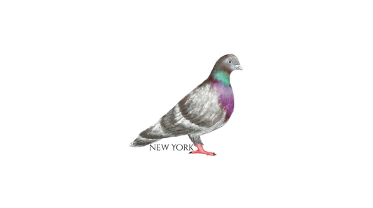 NY Pigeon Luggage Sticker