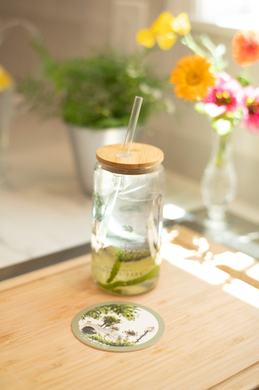 Bow Bridge Coaster Pack