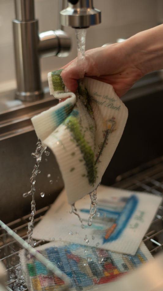 Bow Bridge 2 Pack Dishcloth