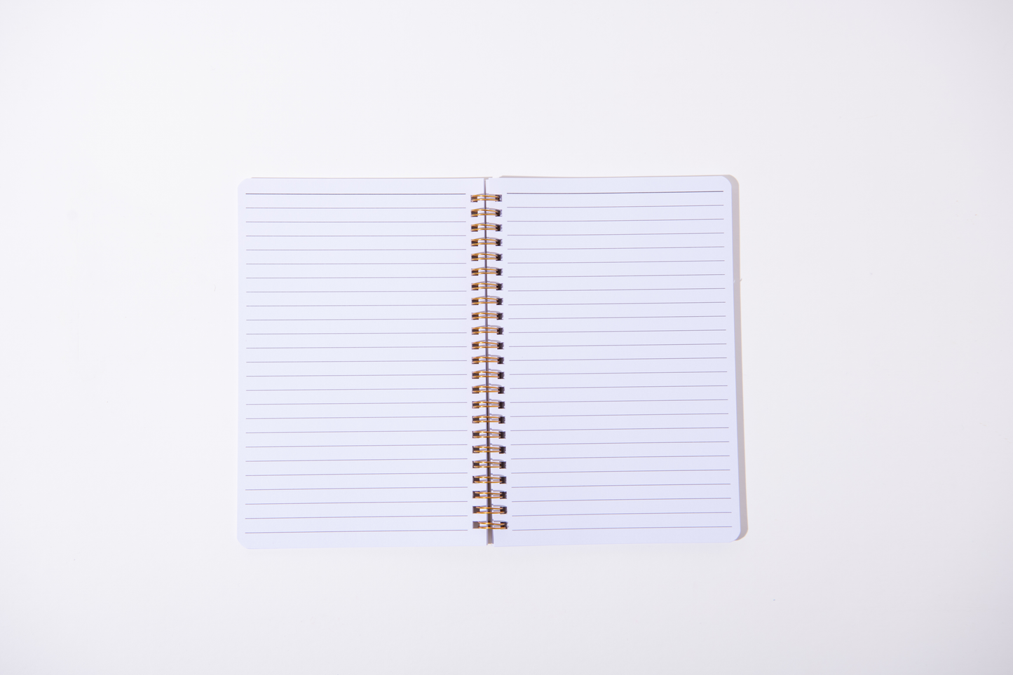 Bow Bridge Spiral Notebook