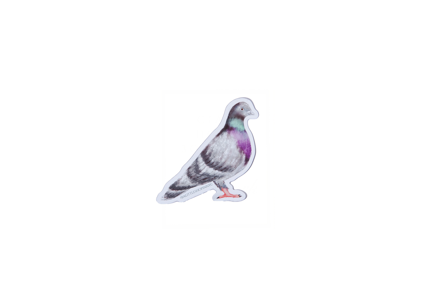 New York Pigeon Magnet