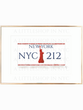NY License Plate Print