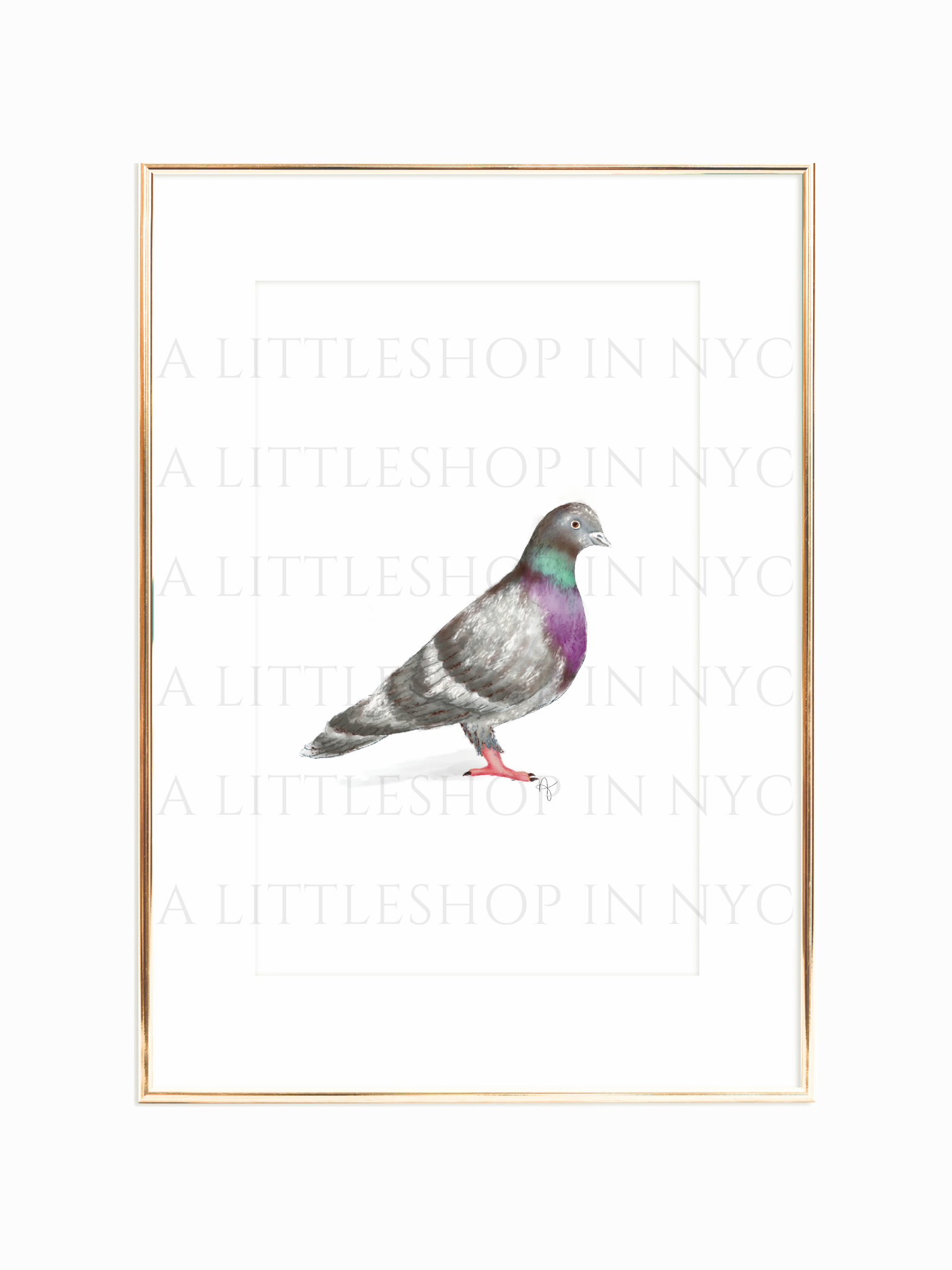 Pigeon Print