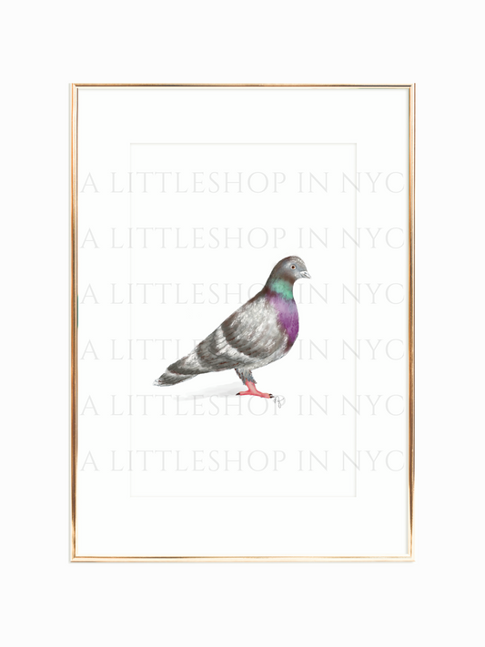 Pigeon Print
