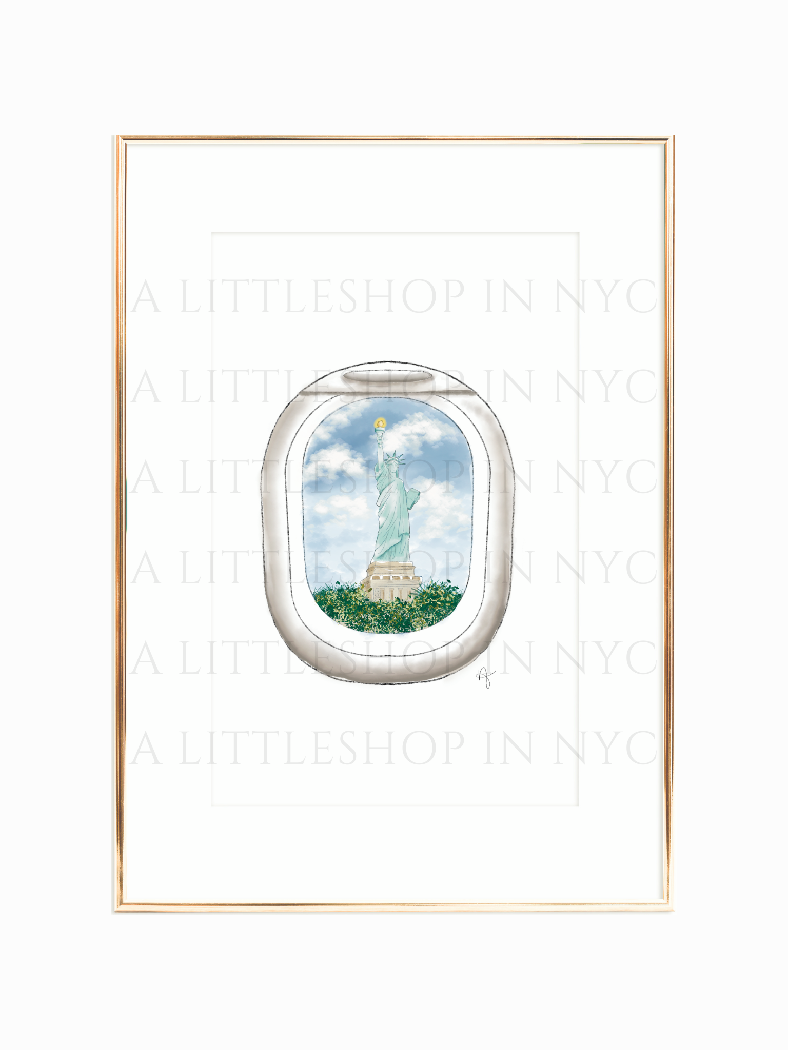 Airplane View Print