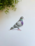 NY Pigeon Luggage Sticker