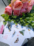Mother's Day Mystery Little Prints