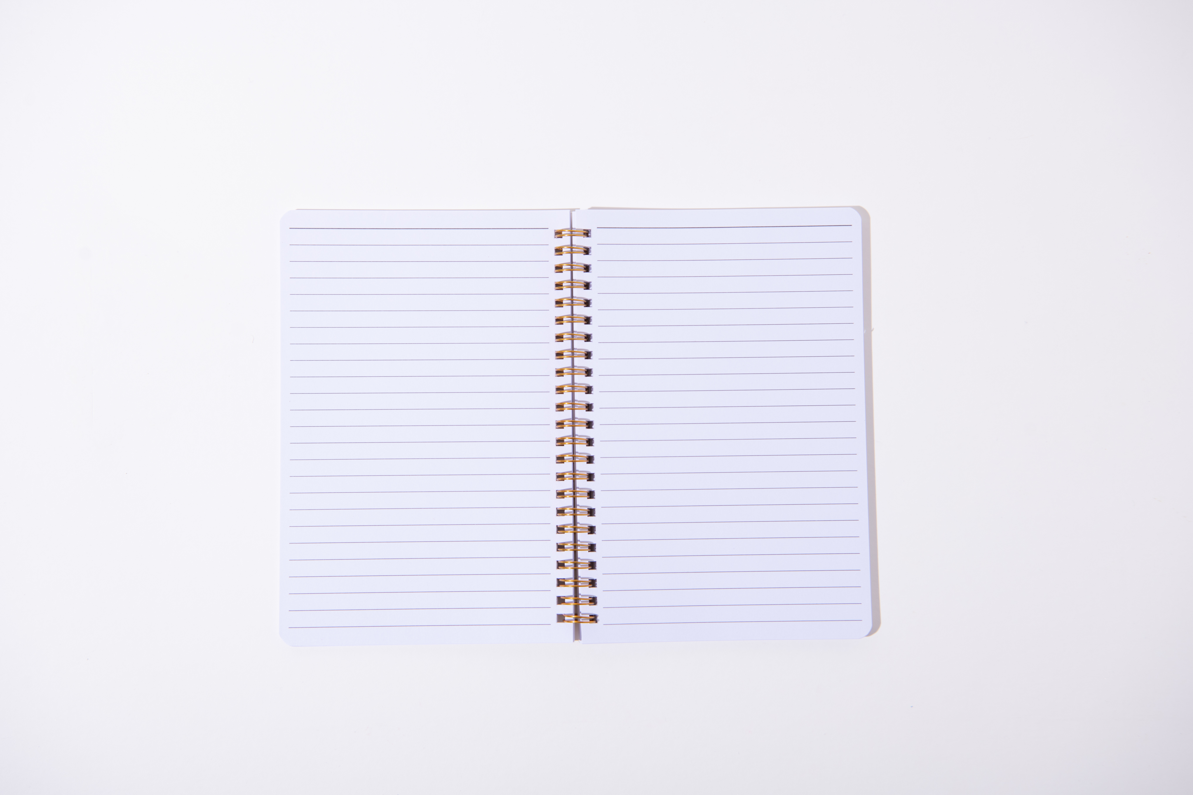 Icons of New York Spiral Notebook