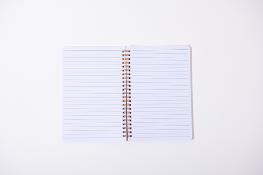 Fly Me To New York Spiral Notebook