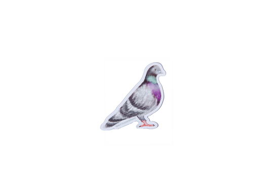 New York Pigeon Magnet